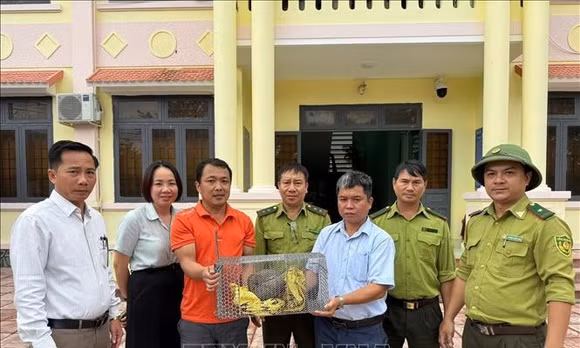 Người dân Sơn Hạ tự nguyện giao nộp cá thể tê tê quý hiếm