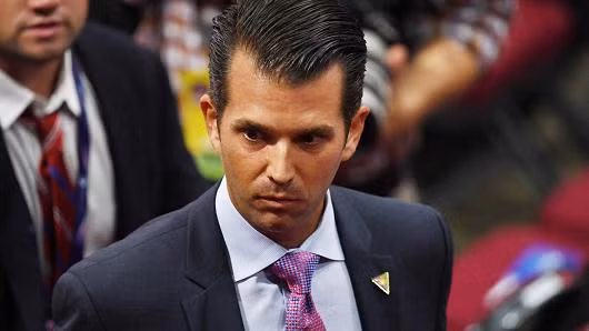 Nhân vật bí ẩn xuất hiện trong cuộc gặp 'gây bão' của Donald Trump Jr ảnh 1