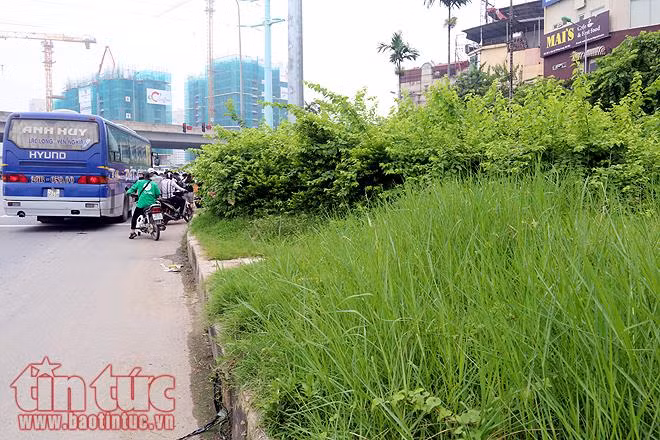 Đại lộ Thăng Long cỏ dại cao ngút đầu, ngổn ngang rác thải ảnh 15