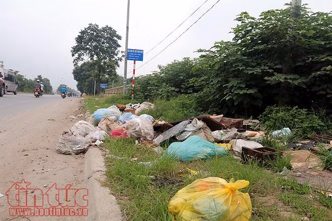 Đại lộ Thăng Long cỏ dại cao ngút đầu, ngổn ngang rác thải ảnh 19