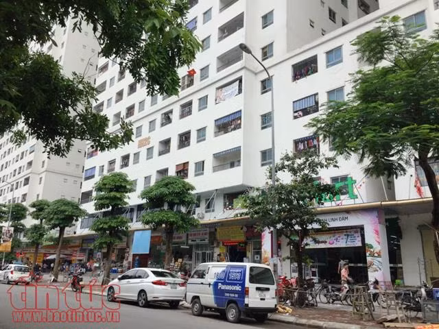 Những chung cư nhồi người nhiều tai tiếng của Mường Thanh ảnh 14