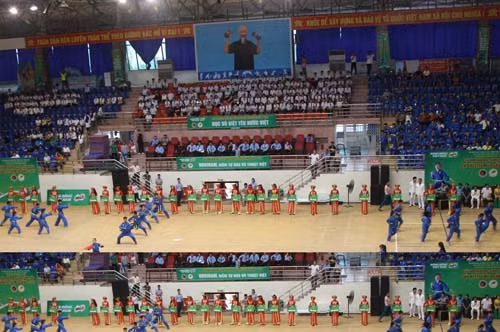 Khai mạc Giải Vovinam học sinh toàn quốc lần I ảnh 1