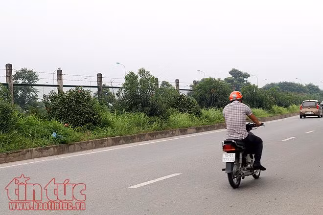 Đại lộ Thăng Long cỏ dại cao ngút đầu, ngổn ngang rác thải ảnh 9