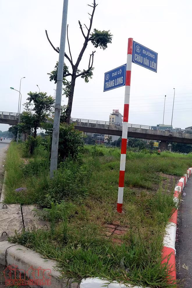 Đại lộ Thăng Long cỏ dại cao ngút đầu, ngổn ngang rác thải ảnh 5