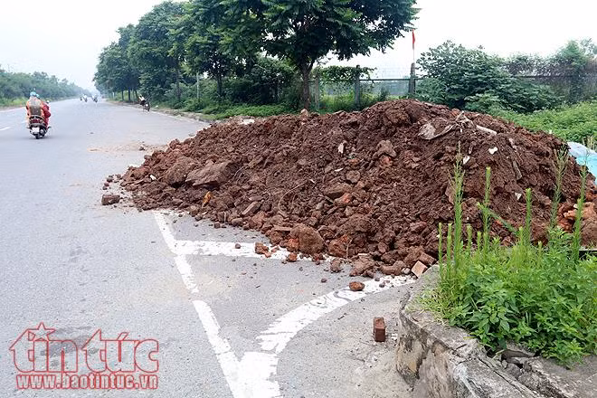Đại lộ Thăng Long cỏ dại cao ngút đầu, ngổn ngang rác thải ảnh 20
