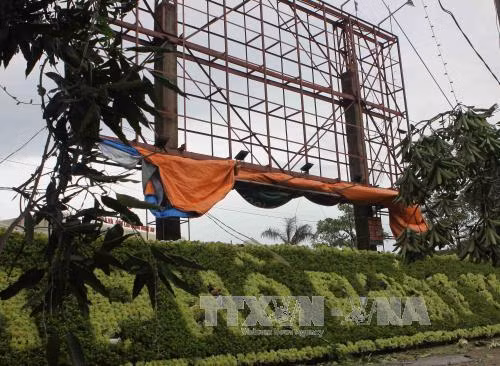 Bão số 2 quét qua, thành phố Vinh tơi tả ảnh 6