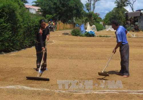 Gần 1,5 triệu hộ dân tộc thiểu số được vay vốn chính sách ảnh 2