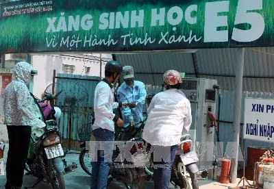 Hoàn toàn có thể thay thế xăng RON 92 bằng E5 từ năm sau ảnh 1