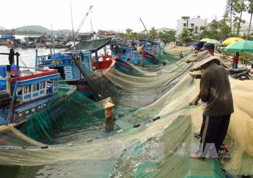 Nhiều nghề khai thác biển đạt hiệu quả cao ảnh 1