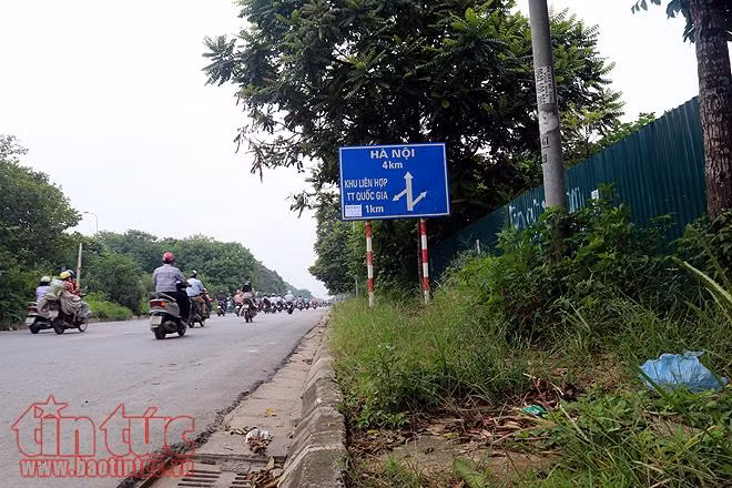 Đại lộ Thăng Long cỏ dại cao ngút đầu, ngổn ngang rác thải ảnh 13