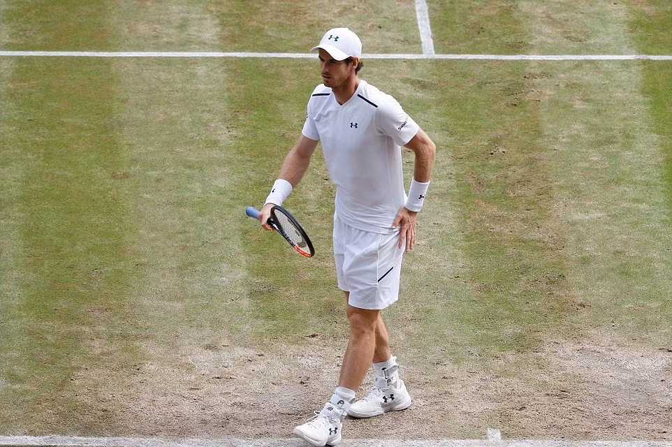 Lội ngược dòng, Querrey biến Murray thành cựu vô địch Wimbledon ảnh 1