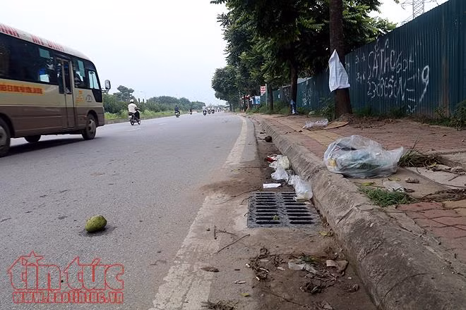 Đại lộ Thăng Long cỏ dại cao ngút đầu, ngổn ngang rác thải ảnh 18