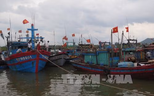 Hủy các cuộc họp không cấp thiết, tập trung chống bão số 10 ảnh 1