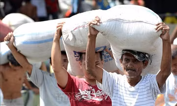 USDA dự báo Philippines nhập 5,5 triệu tấn gạo trong năm nay