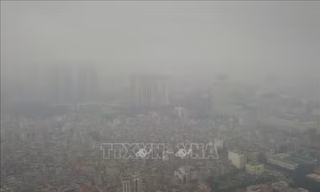 Cà Mau khẩn trương xác định hiện tượng không khí mờ đục kéo dài
