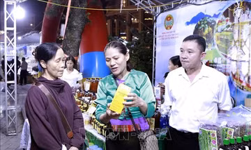 Phát triển nông nghiệp tuần hoàn đa giá trị - Bài 1: Tham gia chuỗi giá trị mới