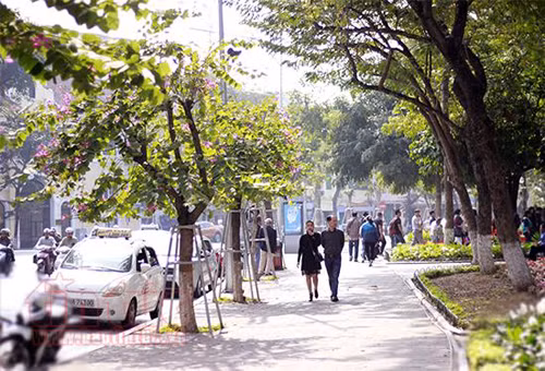Bắc Bộ duy trì tiết trời tạnh ráo, ngày hửng nắng, lạnh về đêm và sáng đến 5/4 ảnh 1