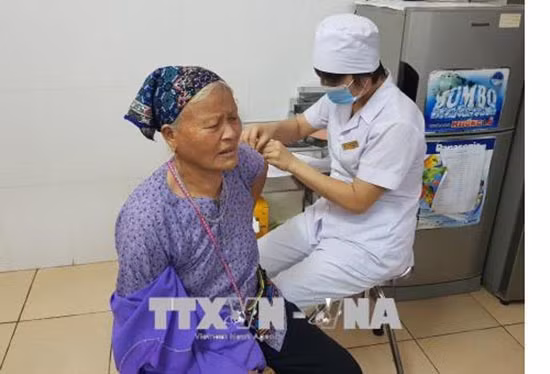 Bộ Y tế khẳng định đủ vắc xin phòng dại cho người dân ảnh 1