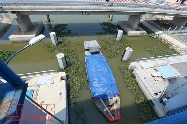 Âu tàu Rạch Chanh giúp rút ngắn hơn 50 km đường thủy ảnh 6