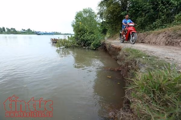 Sạt lở kênh Chợ Gạo: Dân ‘nơm nớp’ lo nhà cửa cuốn trôi theo hà bá ảnh 4