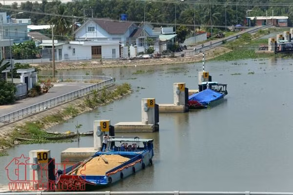 Âu tàu Rạch Chanh giúp rút ngắn hơn 50 km đường thủy ảnh 9