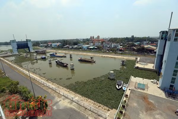 Âu tàu Rạch Chanh giúp rút ngắn hơn 50 km đường thủy ảnh 2