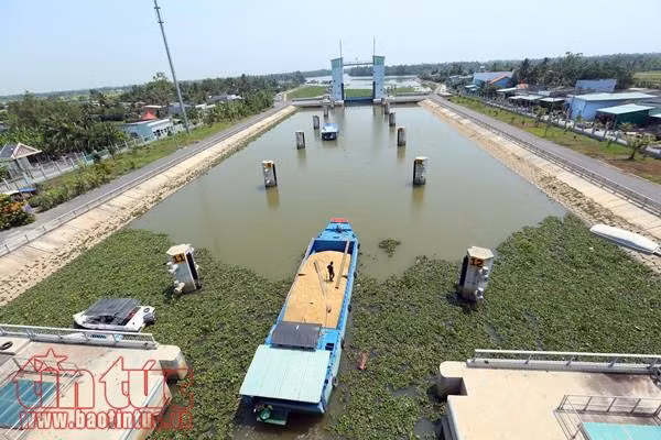 Âu tàu Rạch Chanh giúp rút ngắn hơn 50 km đường thủy ảnh 7