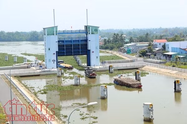 Âu tàu Rạch Chanh giúp rút ngắn hơn 50 km đường thủy ảnh 4