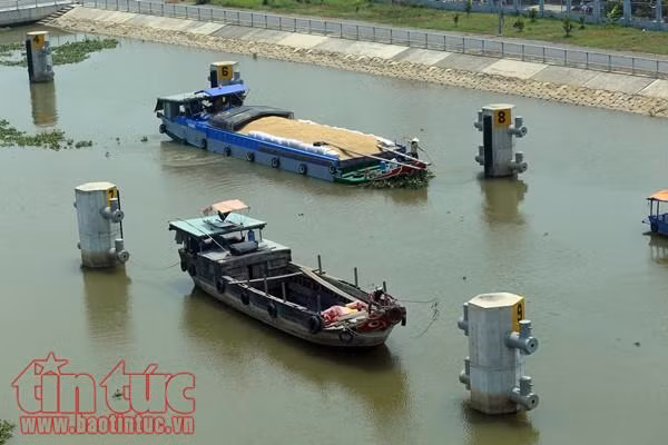Âu tàu Rạch Chanh giúp rút ngắn hơn 50 km đường thủy ảnh 3