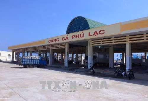 Phú Yên: Nhiều bất cập trong việc thuê mặt bằng Cảng cá Phú Lạc ảnh 1