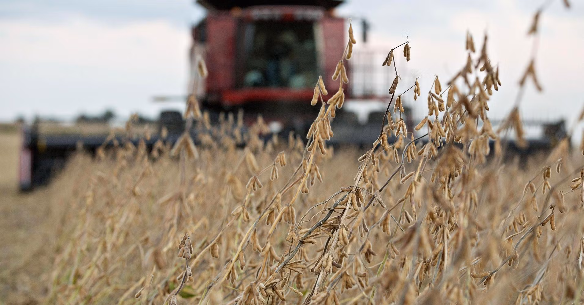 Ai thắng, ai thua trong cuộc chiến thương mại Mỹ-Trung ảnh 2