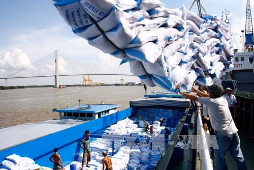 Điều kiện kinh doanh bị 'chặt khúc', doanh nghiệp xuất khẩu gặp khó ảnh 1