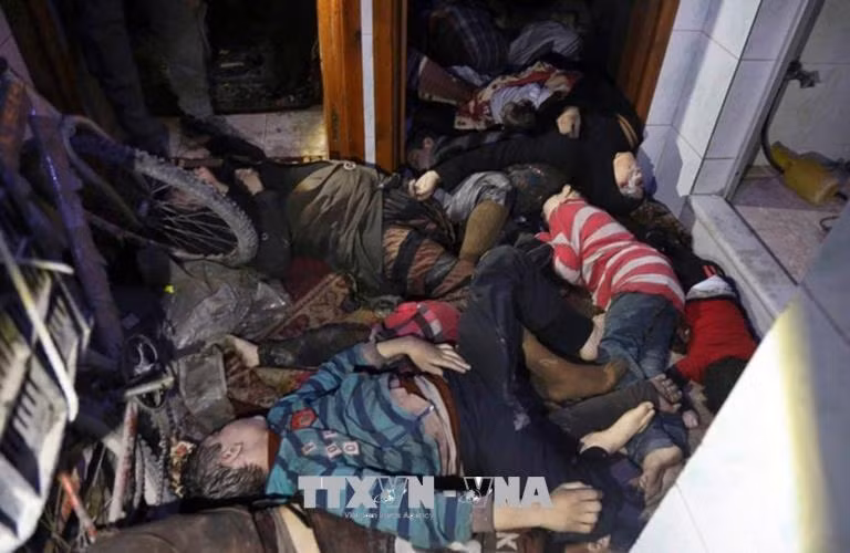 Tổ chức Trăng lưỡi liềm đỏ khẳng định không tìm thấy chất độc ở Douma (Syria) ảnh 1