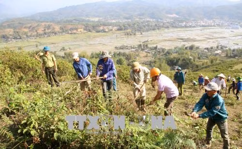 Lai Châu chủ động phòng chống cháy rừng mùa nắng nóng ảnh 1