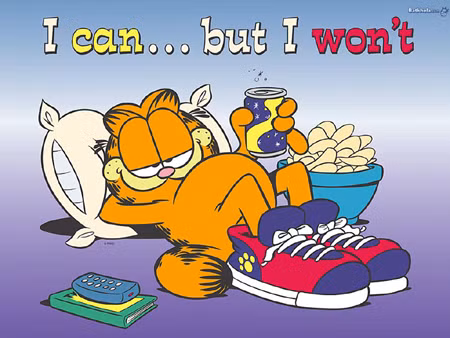 Garfield và những chú mèo hoạt hình nổi tiếng ảnh 1