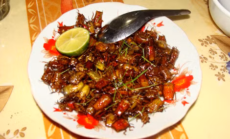 Chết vì ăn bọ xít đen ảnh 1