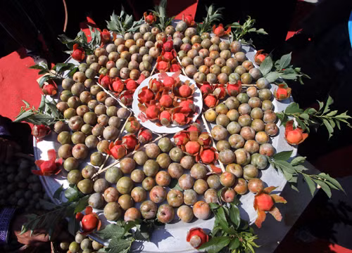 Ngày hội hái quả ở Mộc Châu ảnh 4