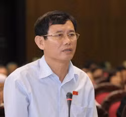 Cần xây dựng trung tâm chế biến hải sản cho từng khu vực ảnh 1