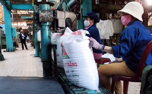Đường tồn kho ở mức kỷ lục ảnh 1