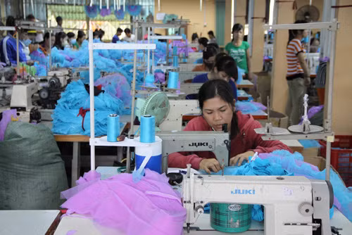 Công nhân đình công trái pháp luật: Câu hỏi về vai trò của công đoàn cơ sở ảnh 1