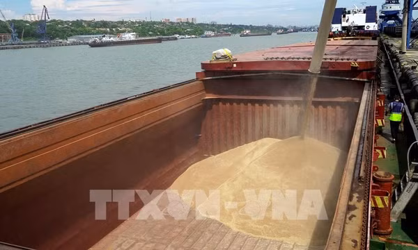 Vận chuyển lúa mì lên tàu hàng tại cảng quốc tế Rostov-on-Don để chuyển tới Thổ Nhĩ Kỳ. Ảnh: AFP/TTXVN (Không cho phép bên thứ ba khai thác, sử dụng lại)