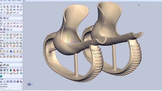 Chú chó khuyết tật chạy nhảy với đôi chân 3D ảnh 1