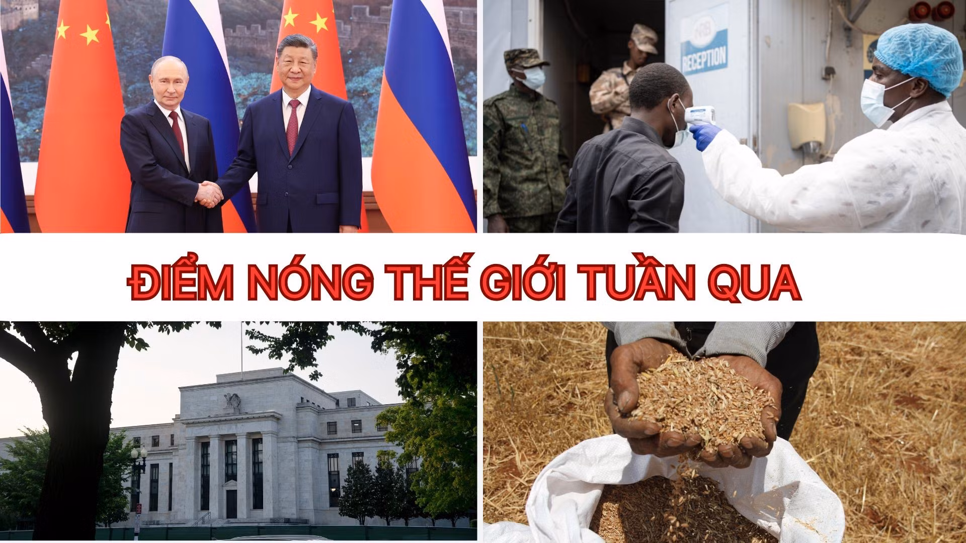 Tin tức TV: WHO ban bố tình trạng khẩn cấp quốc tế về dịch Ebola, FAO cảnh báo khủng hoảng lương thực