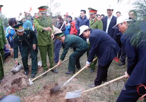 Phó Thủ tướng Chính phủ Trương Hoà Bình dự lễ phát động Tết trồng cây ảnh 2