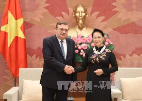 Chủ tịch Quốc hội Nguyễn Thị Kim Ngân tiếp Đại sứ Thụy Điển và Đại sứ Hungary ảnh 1