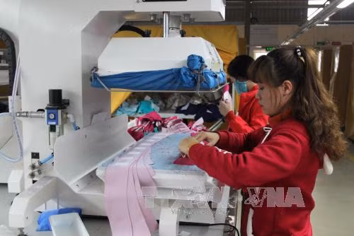 Lấy ý kiến về quy định hàm lượng formaldehyt và các amin thơm trong dệt may ảnh 1
