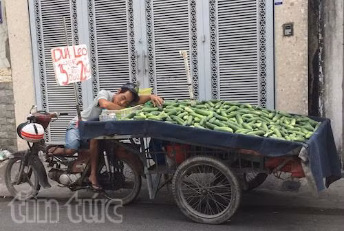 Ly hương tìm kiếm cơ hội đổi đời ảnh 1