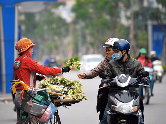 Nồng nàn hoa bưởi giữa phố Hà Nội ảnh 2