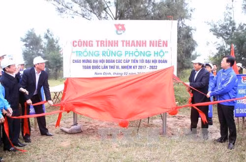 Phó Thủ tướng Chính phủ Trương Hoà Bình dự lễ phát động Tết trồng cây ảnh 1