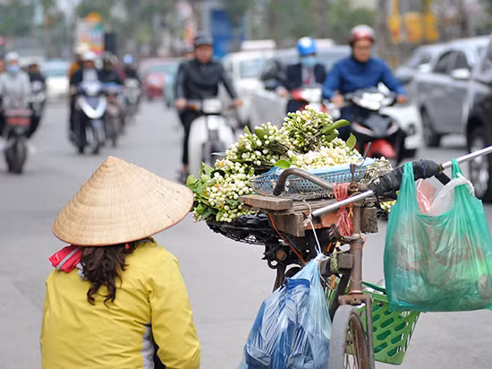 Nồng nàn hoa bưởi giữa phố Hà Nội ảnh 6